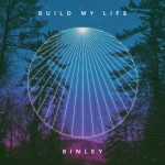 Build My Life (feat. Andrea Hamilton), альбом Binley