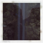 I Need You, album by Austin Sebek