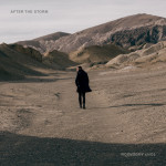 After the Storm, album by Tony Anderson