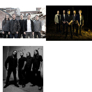 Bands and artists like Betraying The Martyrs